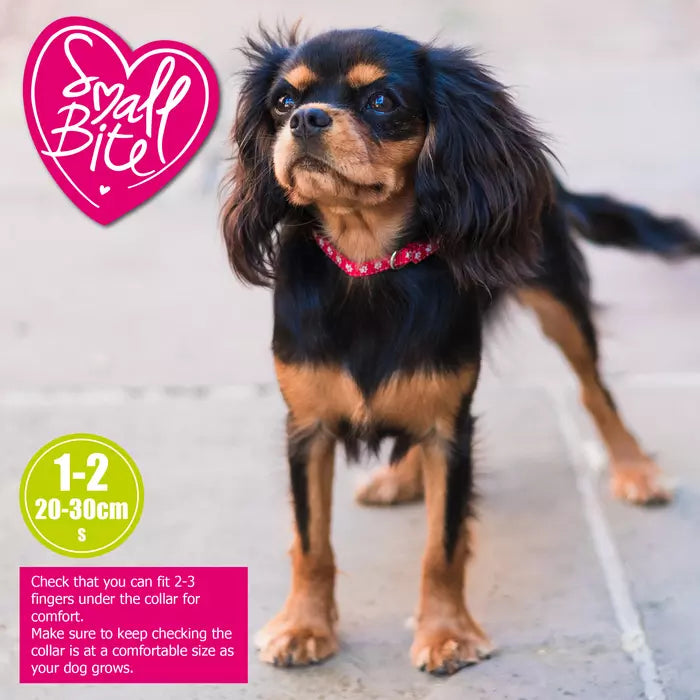 Ancol Small Bite Collar & Lead Set