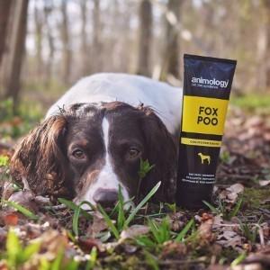 Animology Fox Poo Shampoo 250ml - Country Ways