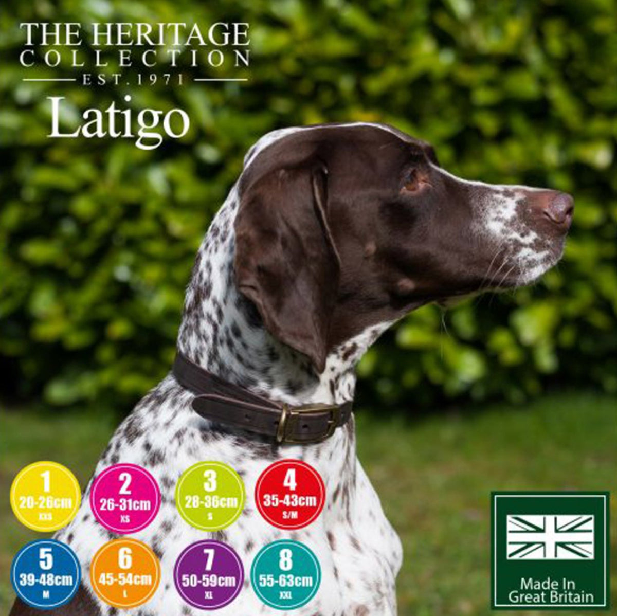 Bisley Heritage Leather Collar - Country Ways