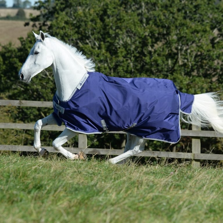 Bucas Atlantic Exclusive 200g Medium Turnout Rug main image 0