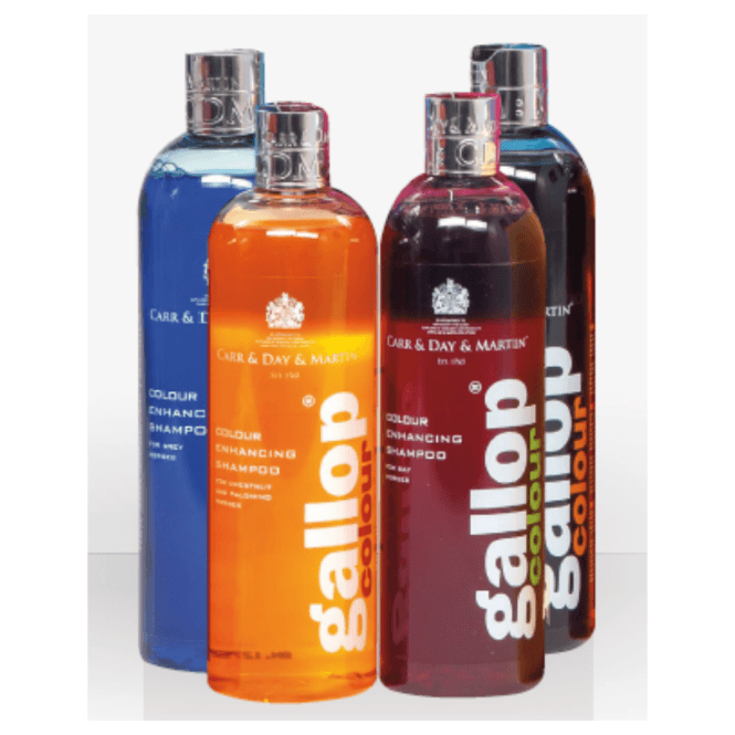 Carr & Day & Martin Gallop Colour Enhancing Shampoo