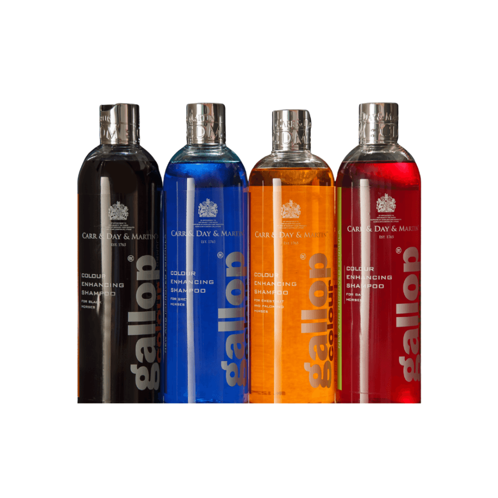 Carr & Day & Martin Gallop Colour Enhancing Shampoo