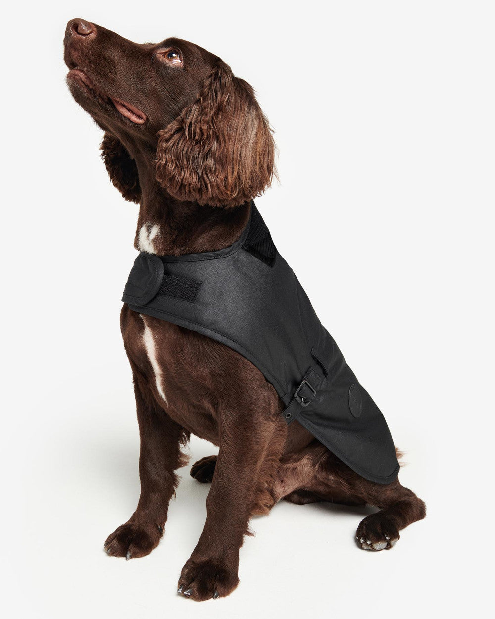 Barbour Waxed Dog Coat