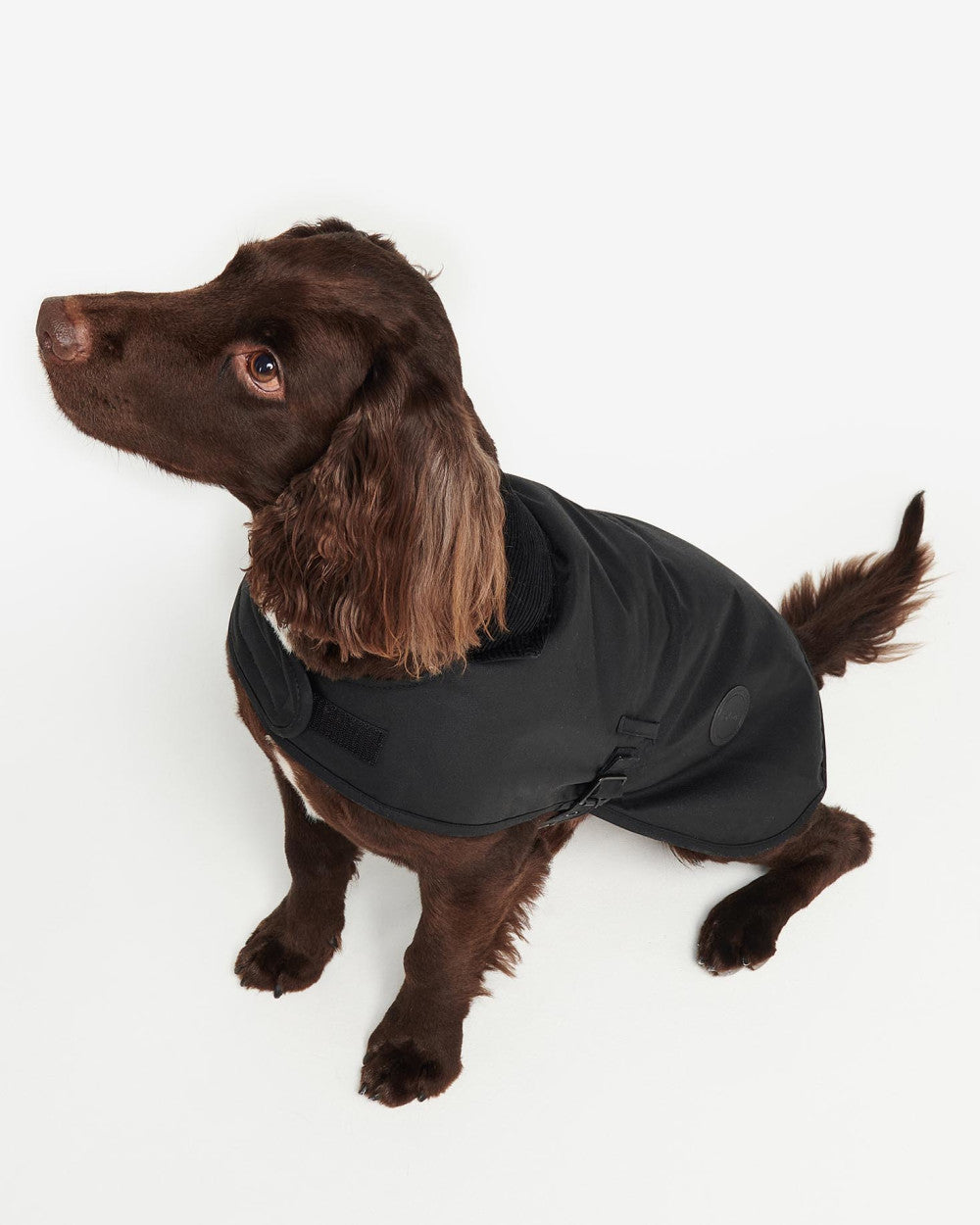 Barbour Waxed Dog Coat