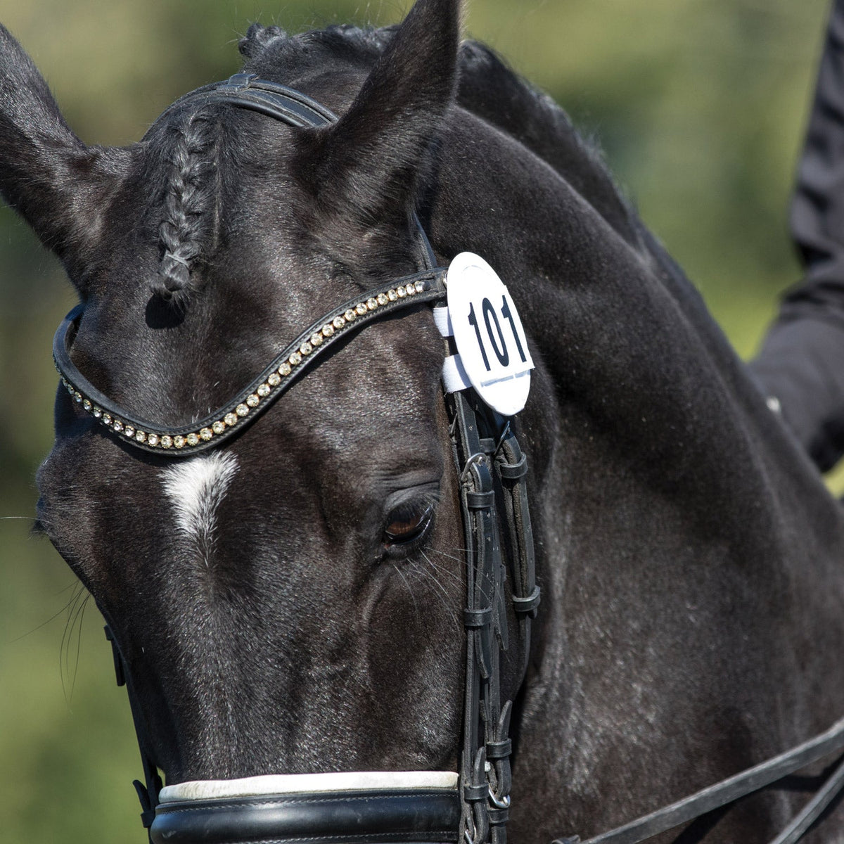 Equetech Bridle Numbers - Pair - Country Ways