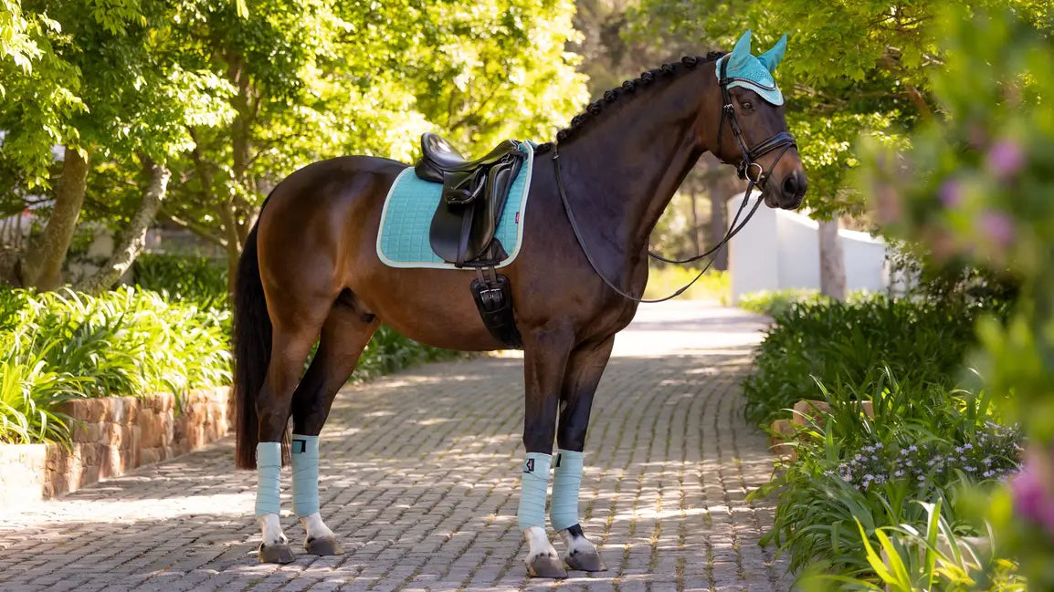 LeMieux Suede Dressage Square SS25