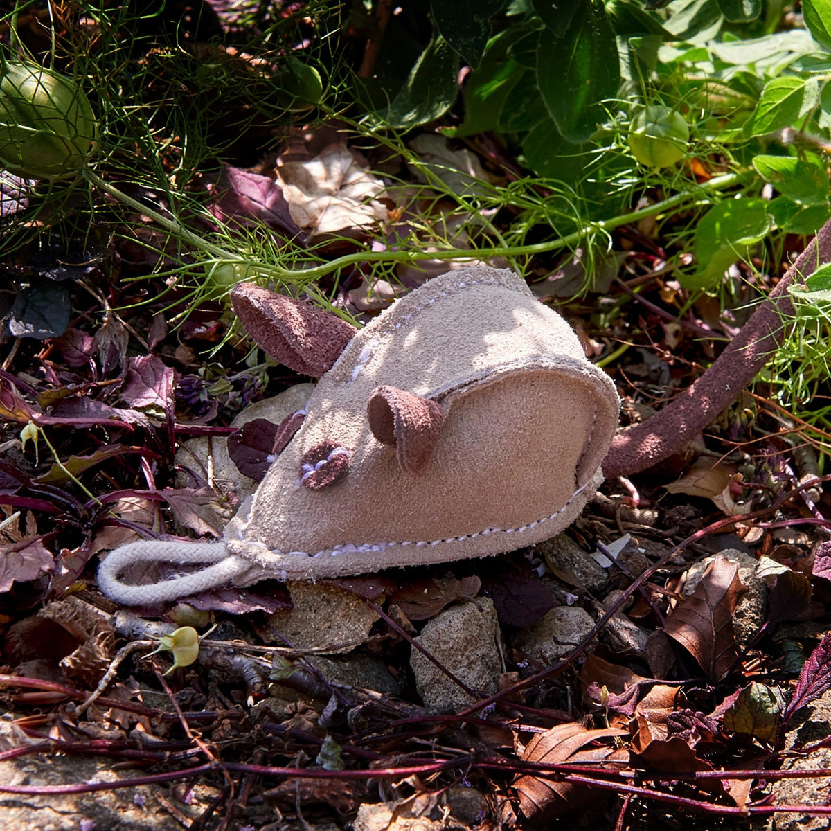 Green & Wild's Mike the Mouse Eco Dog Toy - Country Ways