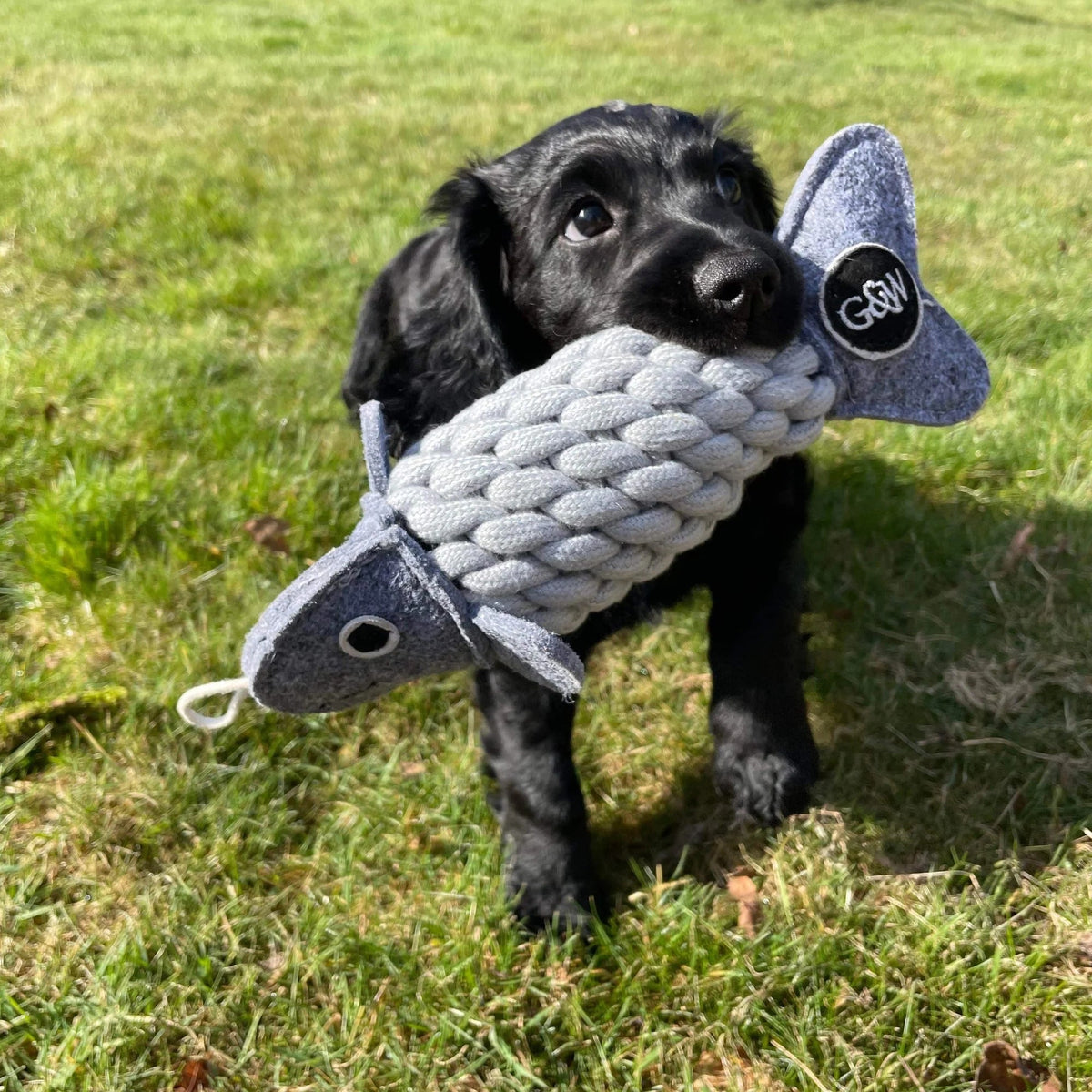 Green & Wild's Roger the Ropefish Eco Dog Toy - Country Ways