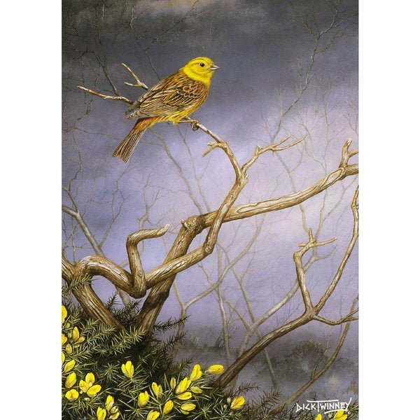 Greeting Card - Yellowhammer & Gorse by Dick Twinney - Country Ways