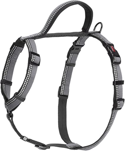 Halti Dog Walking Harness - Country Ways