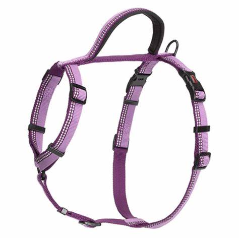 Halti Walking Harness Purple - Country Ways