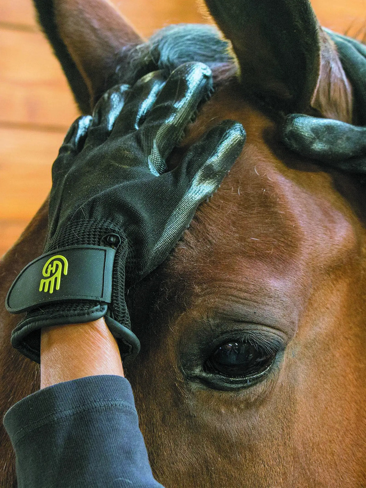 HandsOn Glove