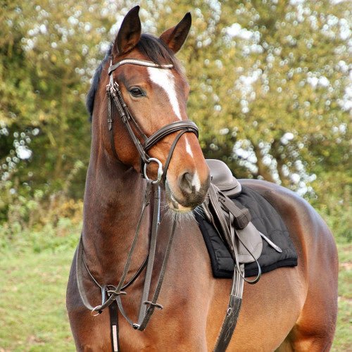 Hy Equestrian Rosciano Martingale - Country Ways