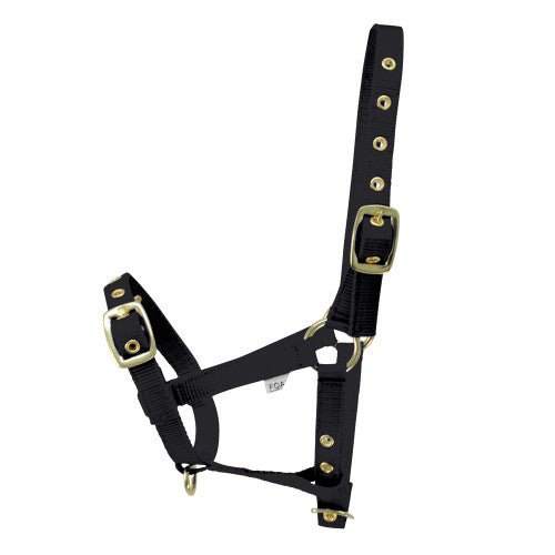 HY Foal Headcollar - Country Ways