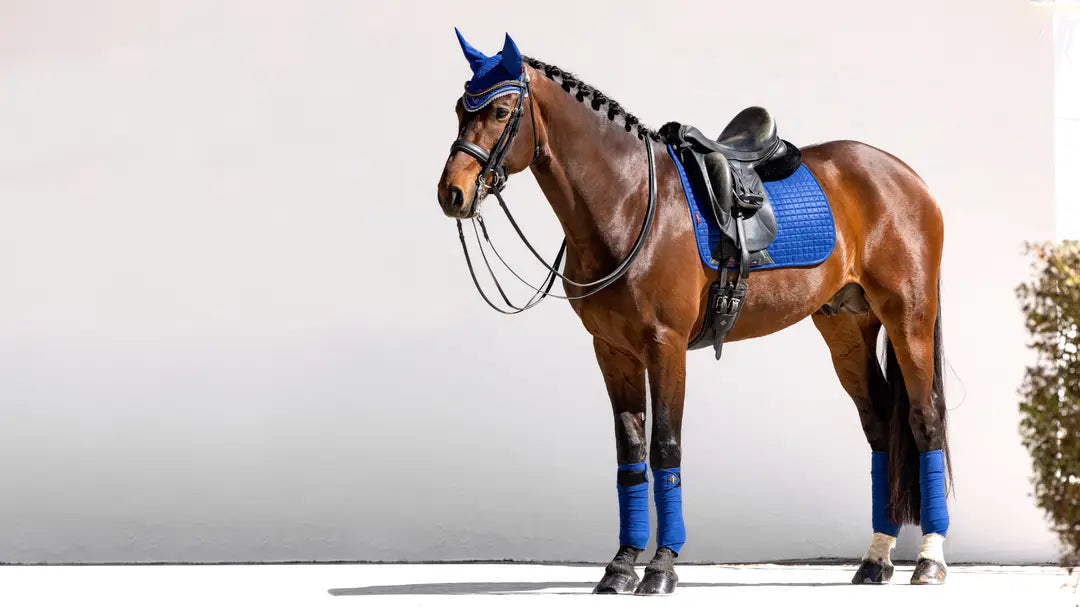 LeMieux Suede Dressage Square
