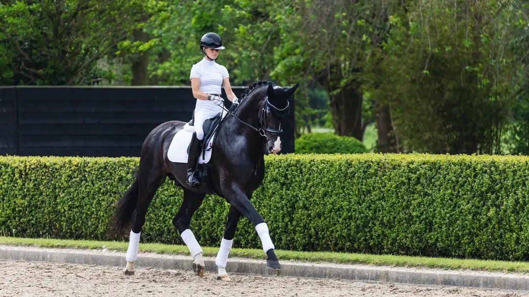 LeMieux Suede Dressage Square