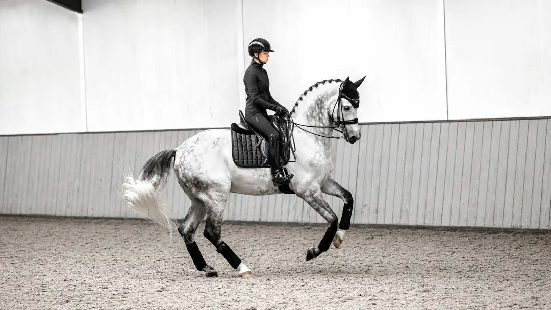 LeMieux Loire Classic Dressage Square Pad