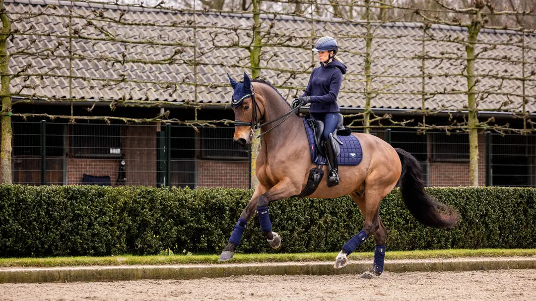 LeMieux Loire Classic Dressage Square Pad