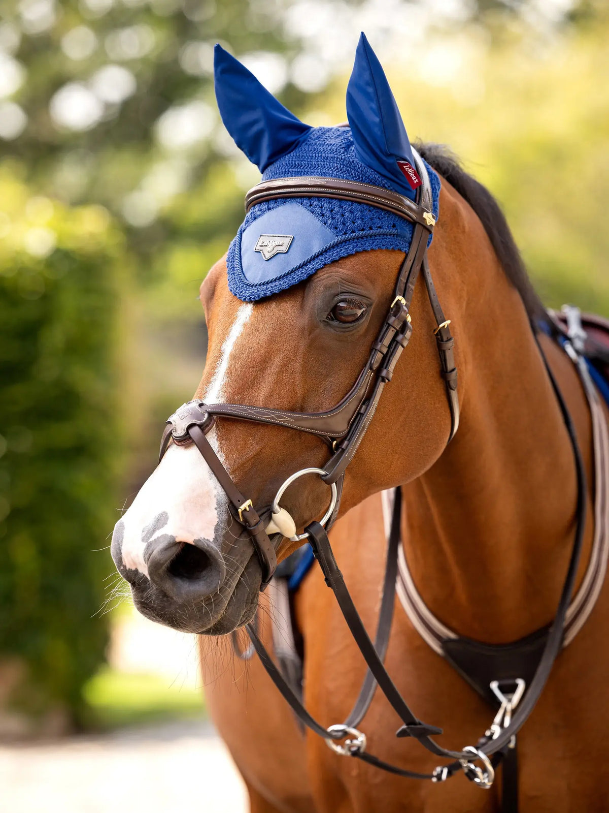 LeMieux Loire Fly Hood