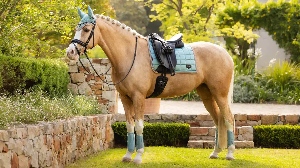 LeMieux Loire Classic Dressage Square SS25