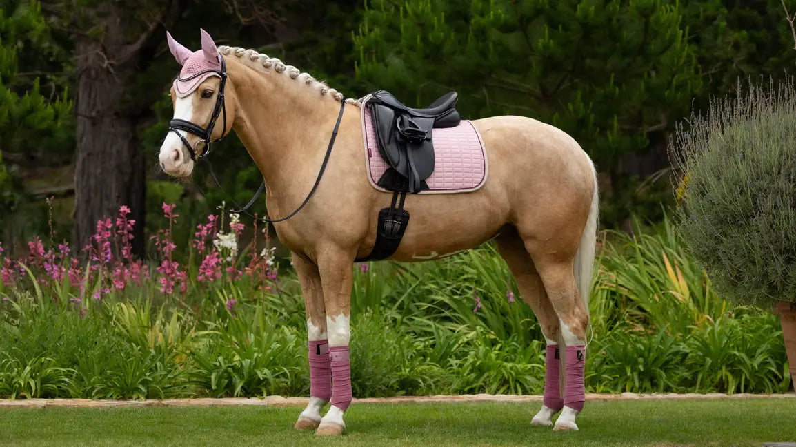 LeMieux Suede Dressage Square SS25