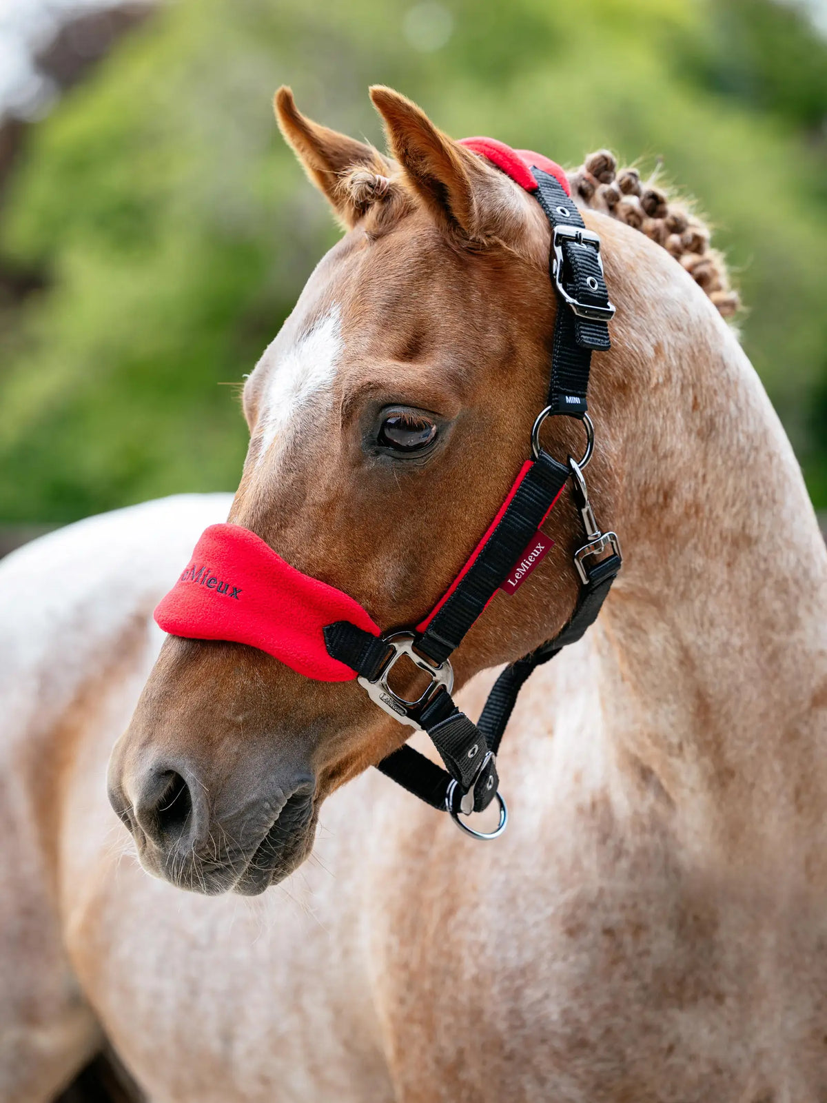 LeMieux Mini Vogue Fleece Headcollar & Leadrope