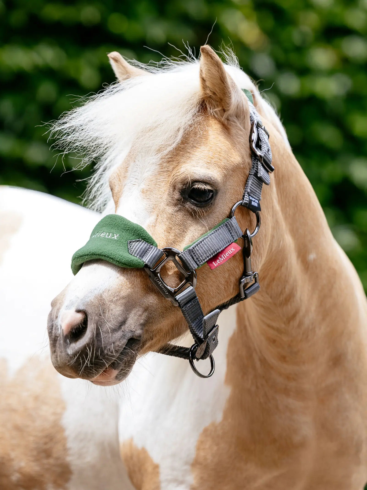 LeMieux Mini Vogue Fleece Headcollar & Leadrope