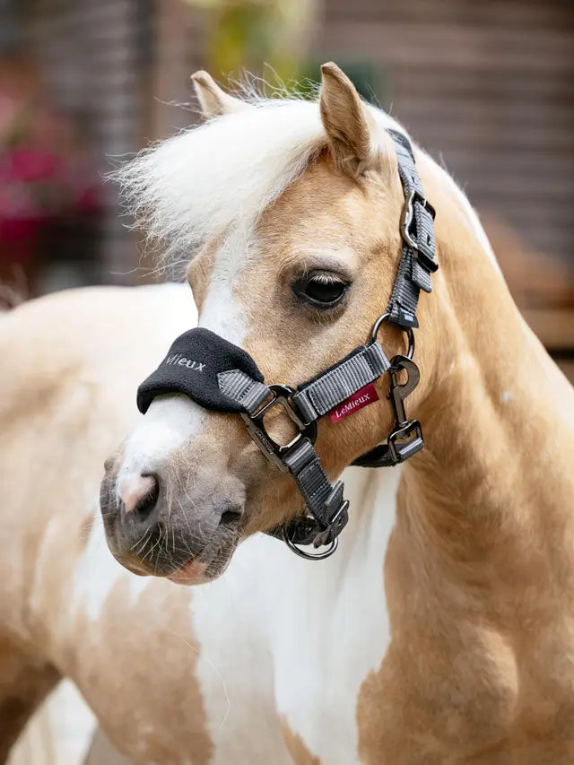 LeMieux Mini Vogue Fleece Headcollar & Leadrope