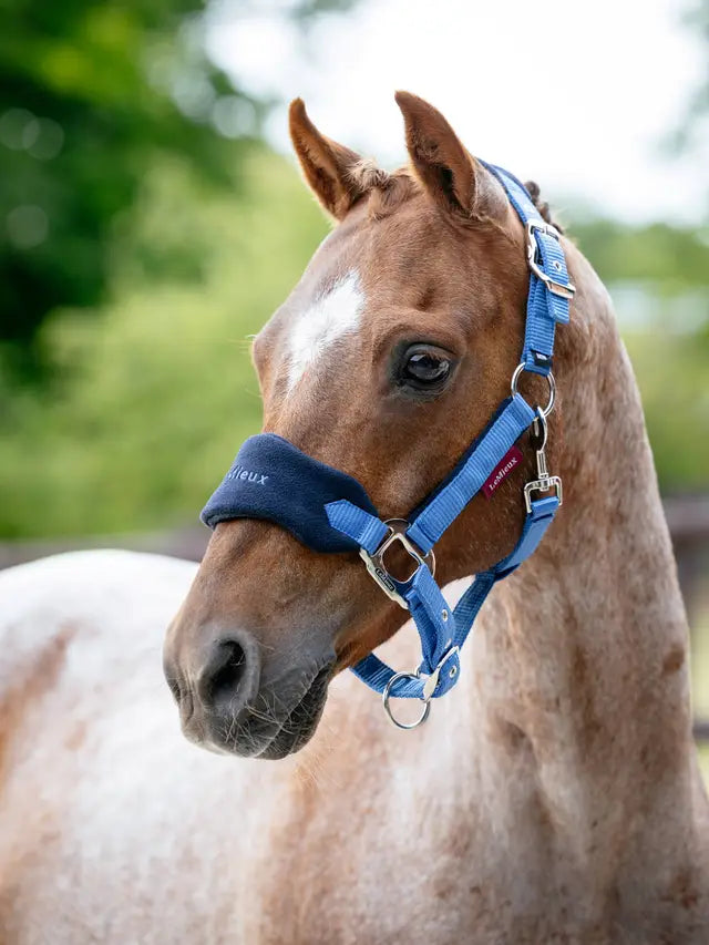 LeMieux Mini Vogue Fleece Headcollar & Leadrope