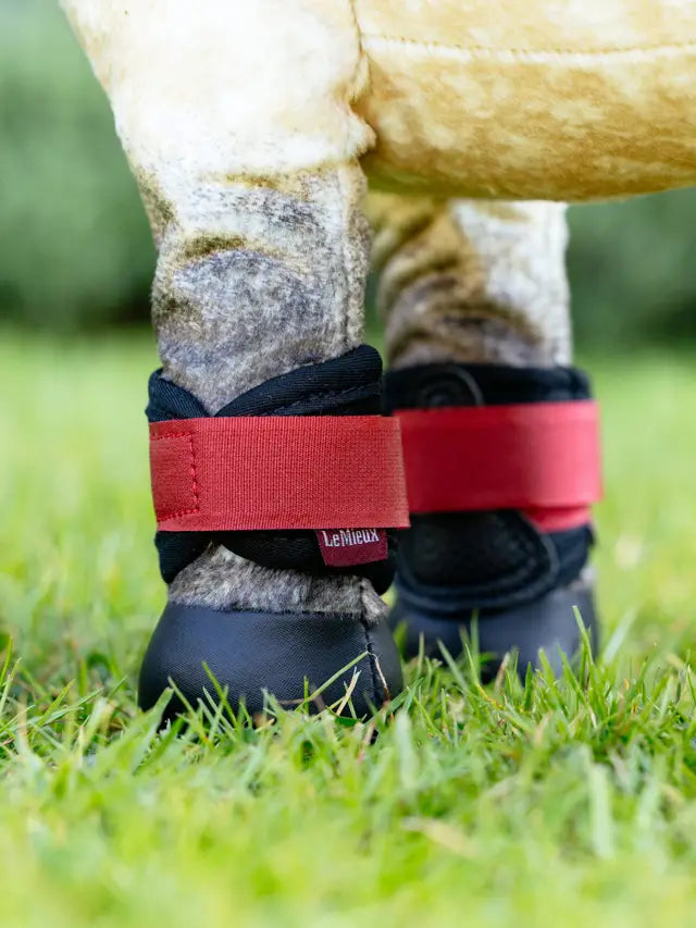 LeMieux Toy Pony Grafter Boots