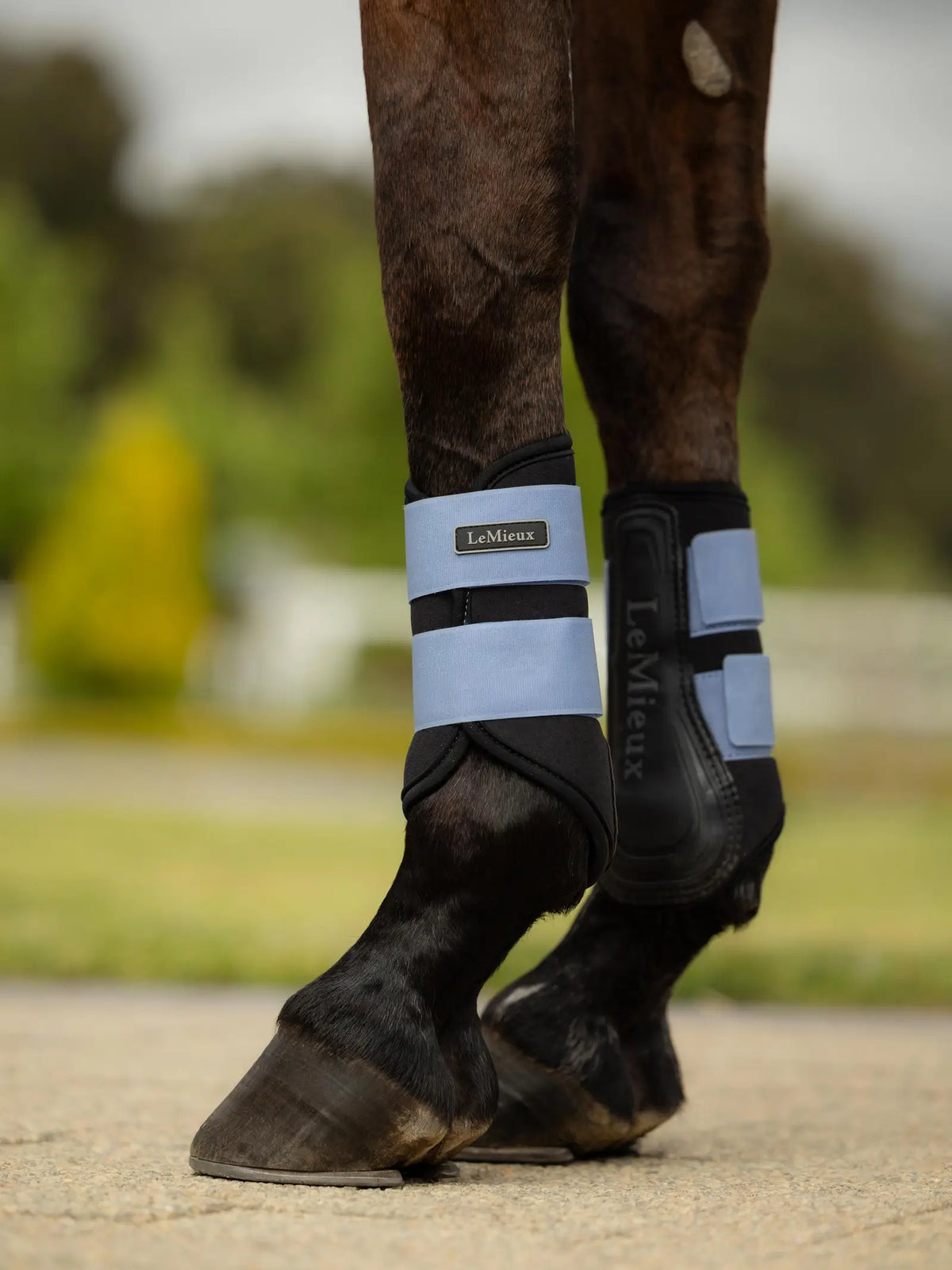 LeMieux Air-Tek Grafter Brushing Boots SS26