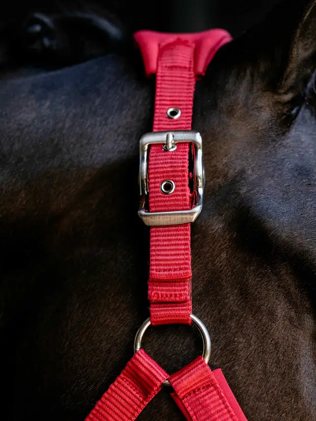 LeMieux Breakaway Vogue Headcollar & Leadrope