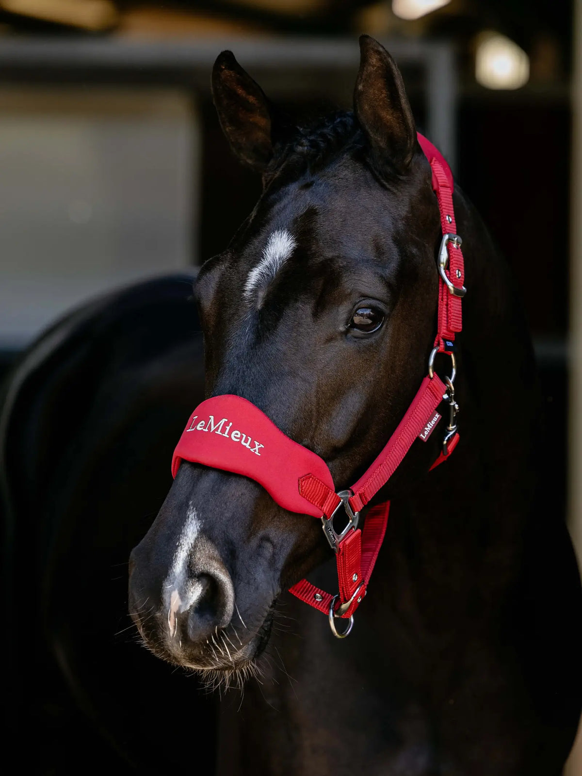 LeMieux Breakaway Vogue Headcollar & Leadrope