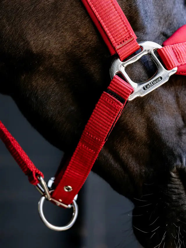 LeMieux Breakaway Vogue Headcollar & Leadrope