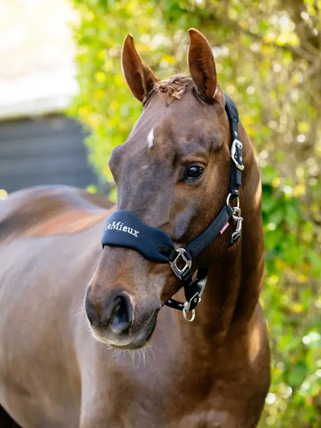 LeMieux Breakaway Vogue Headcollar & Leadrope