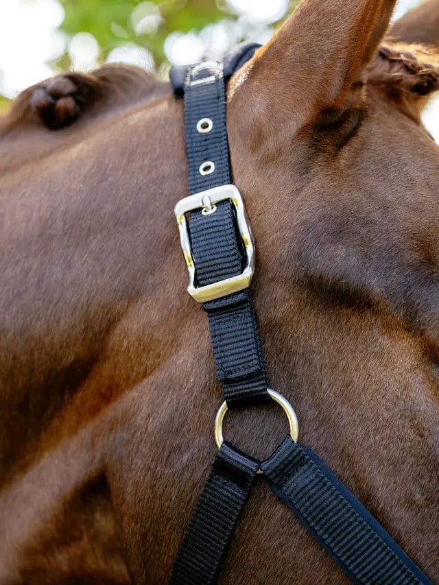 LeMieux Breakaway Vogue Headcollar & Leadrope