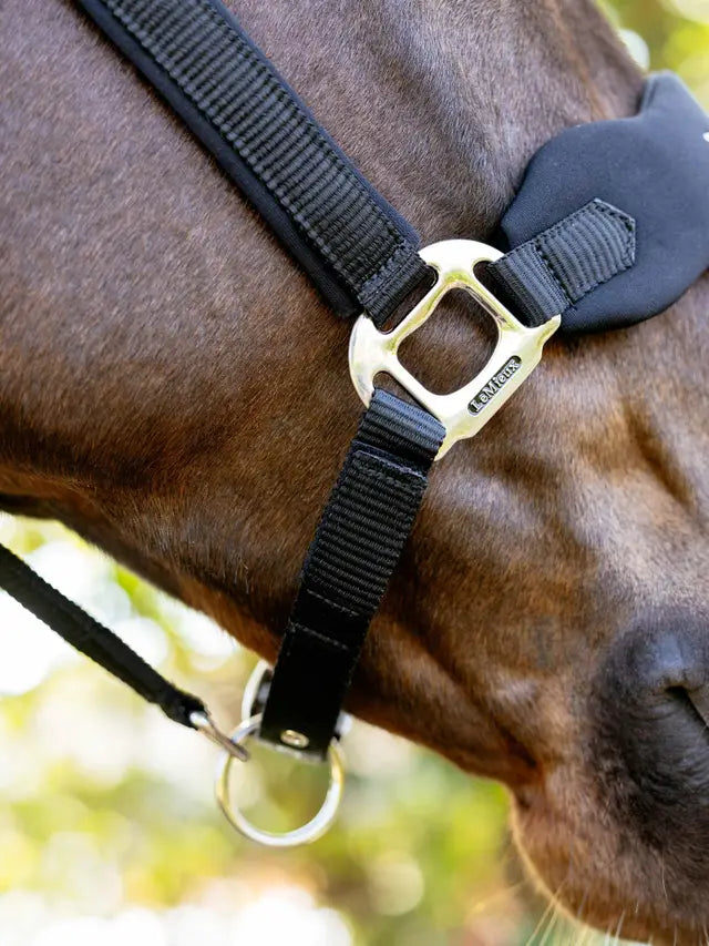LeMieux Breakaway Vogue Headcollar & Leadrope