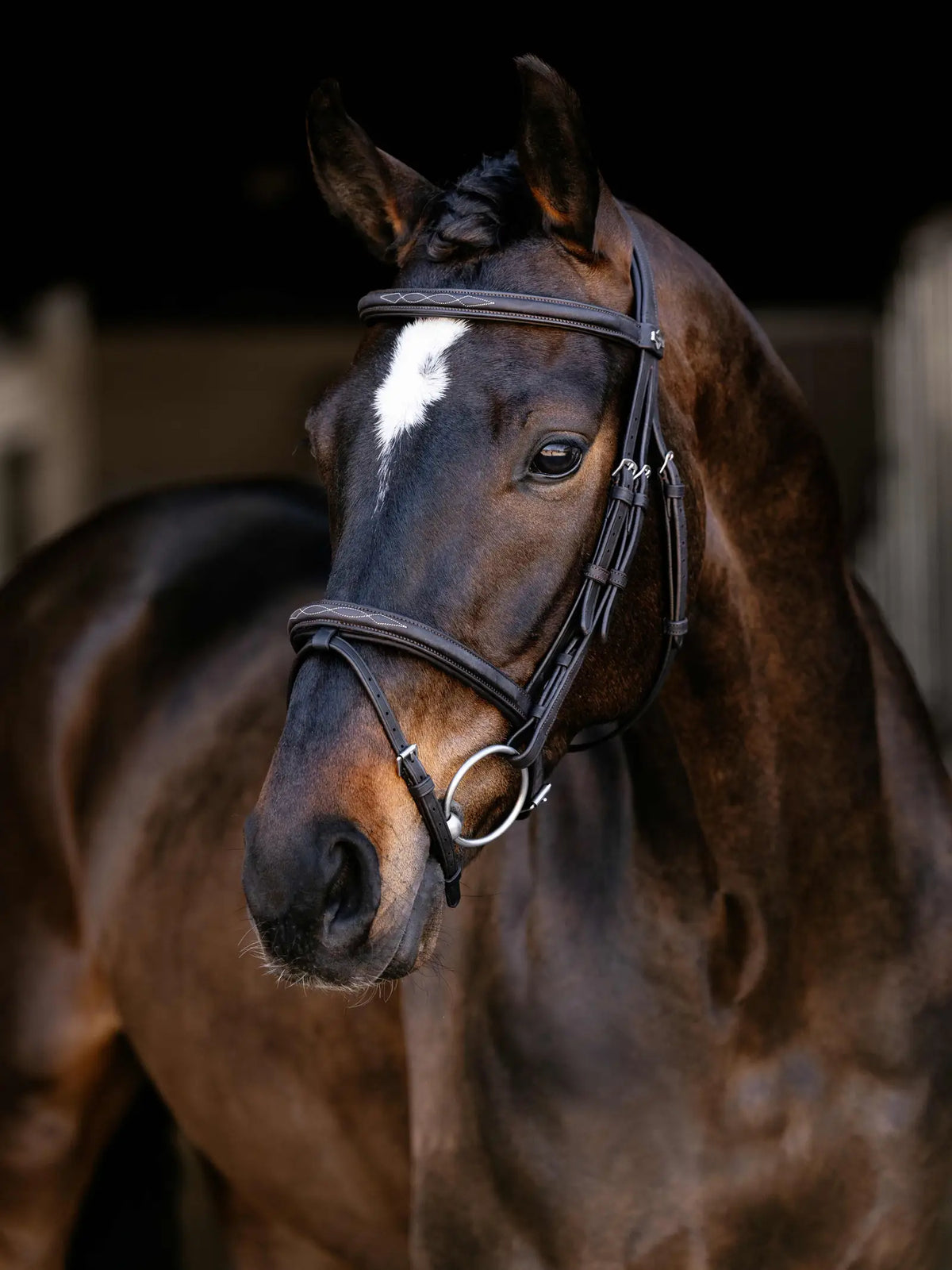 LeMieux Arika Classique Flash Bridle