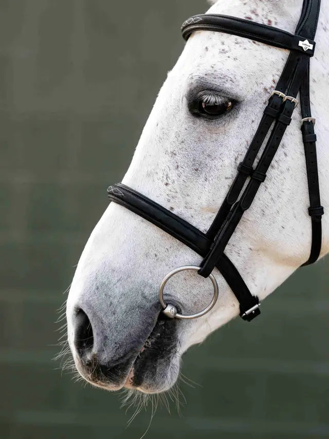 LeMieux Arika Classique Cavesson Bridle
