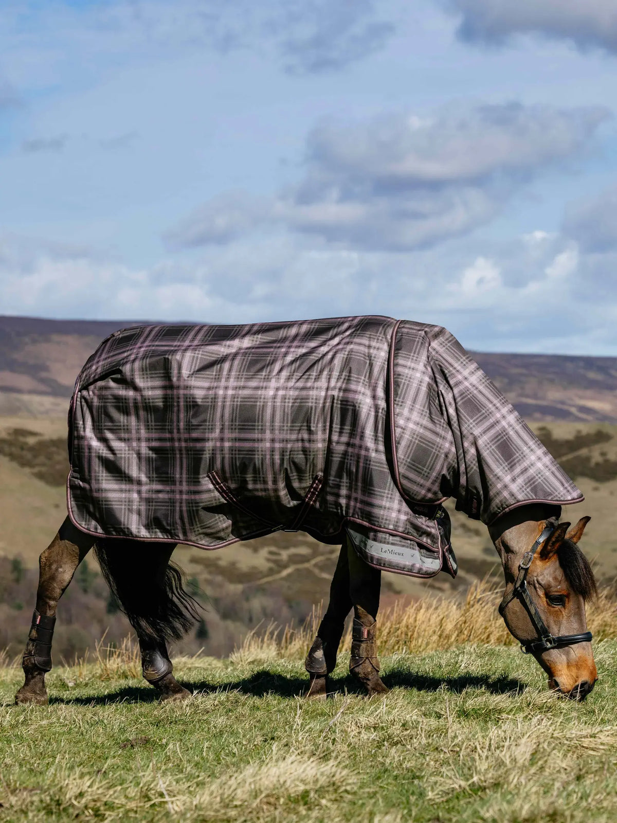 LeMieux Arika Heritage Check 200g Turnout Rug