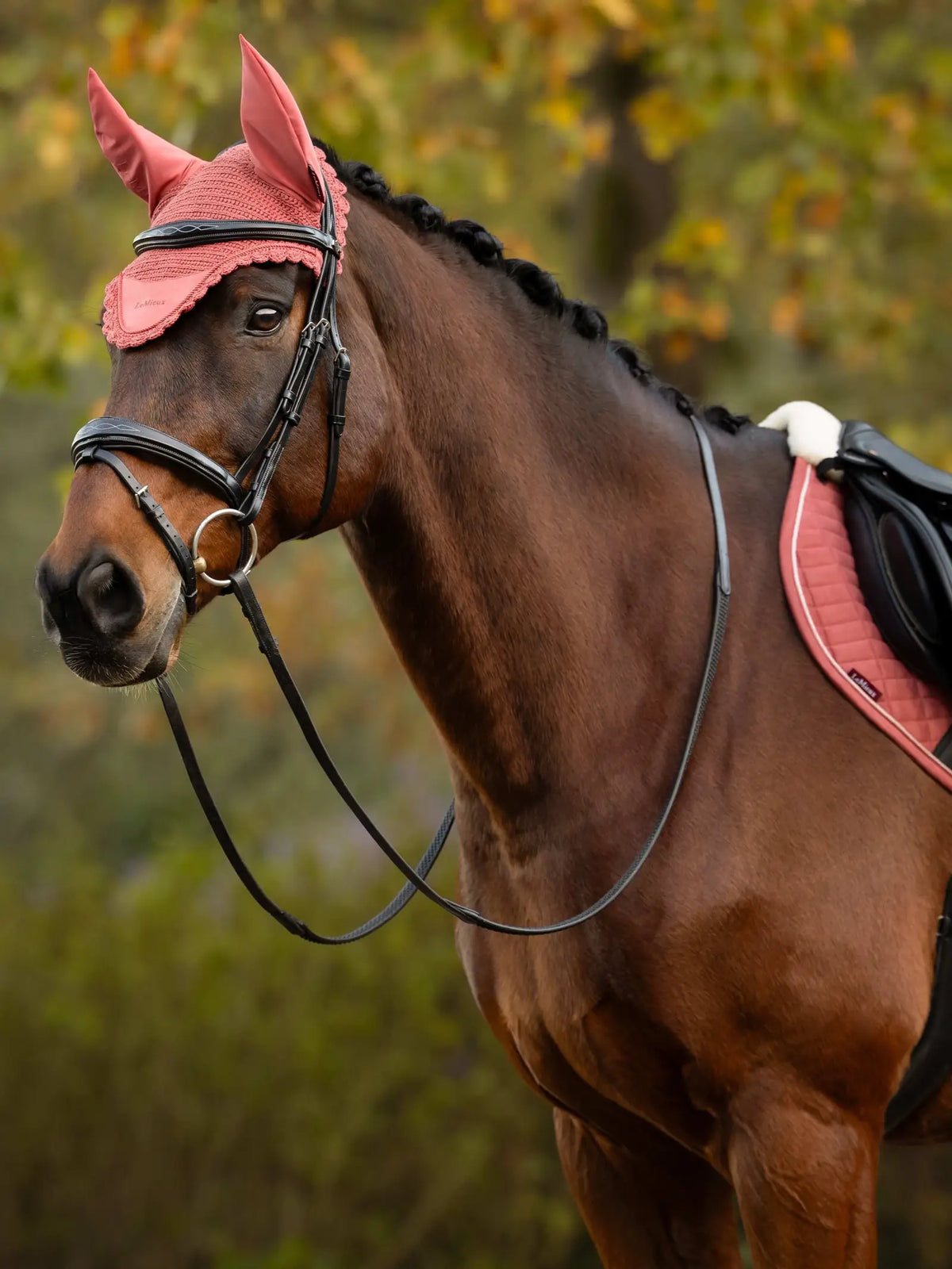 LeMieux Classic Fly Hood AW26