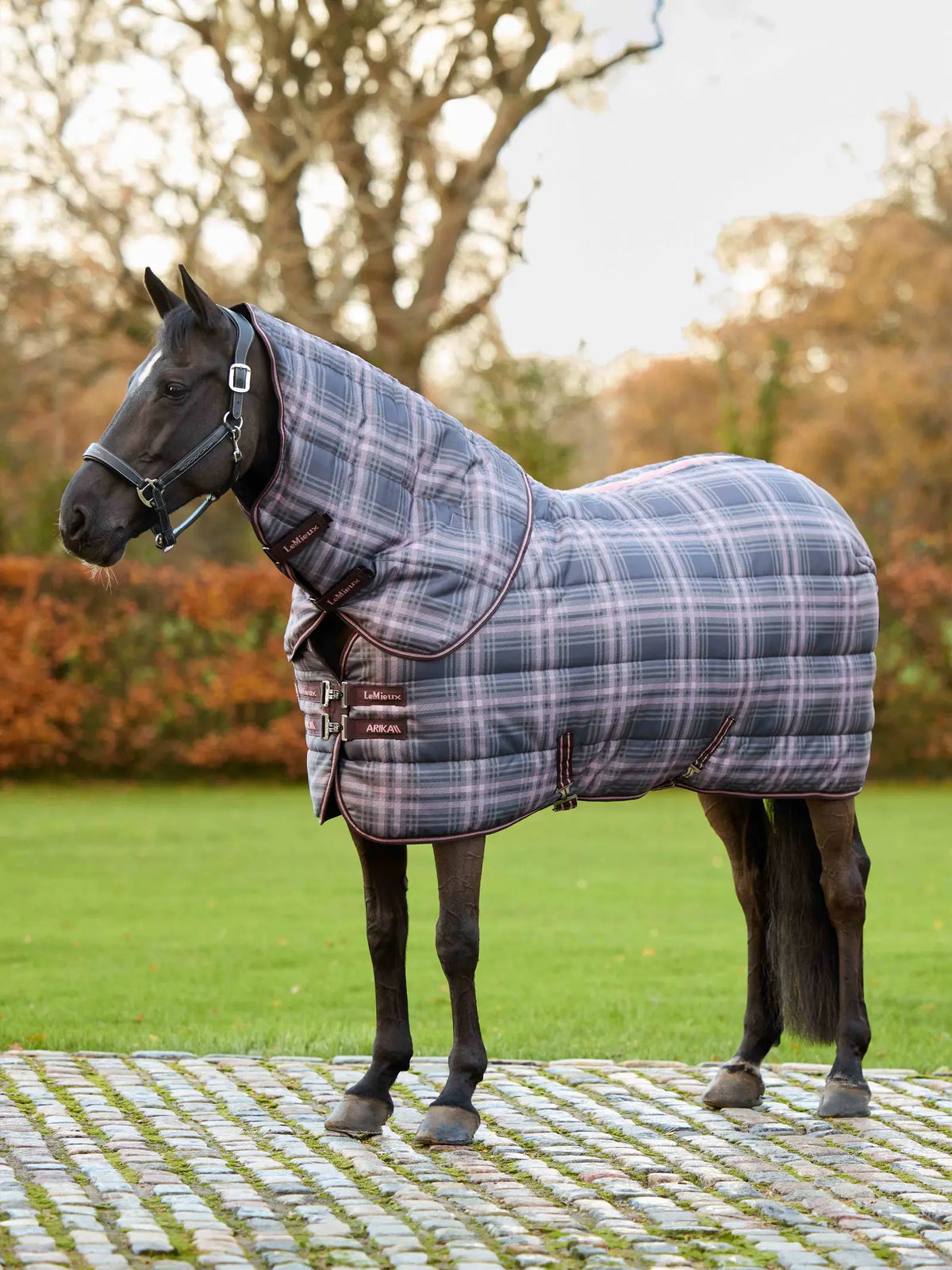LeMieux Arika Check Stable rug with Neck 200g