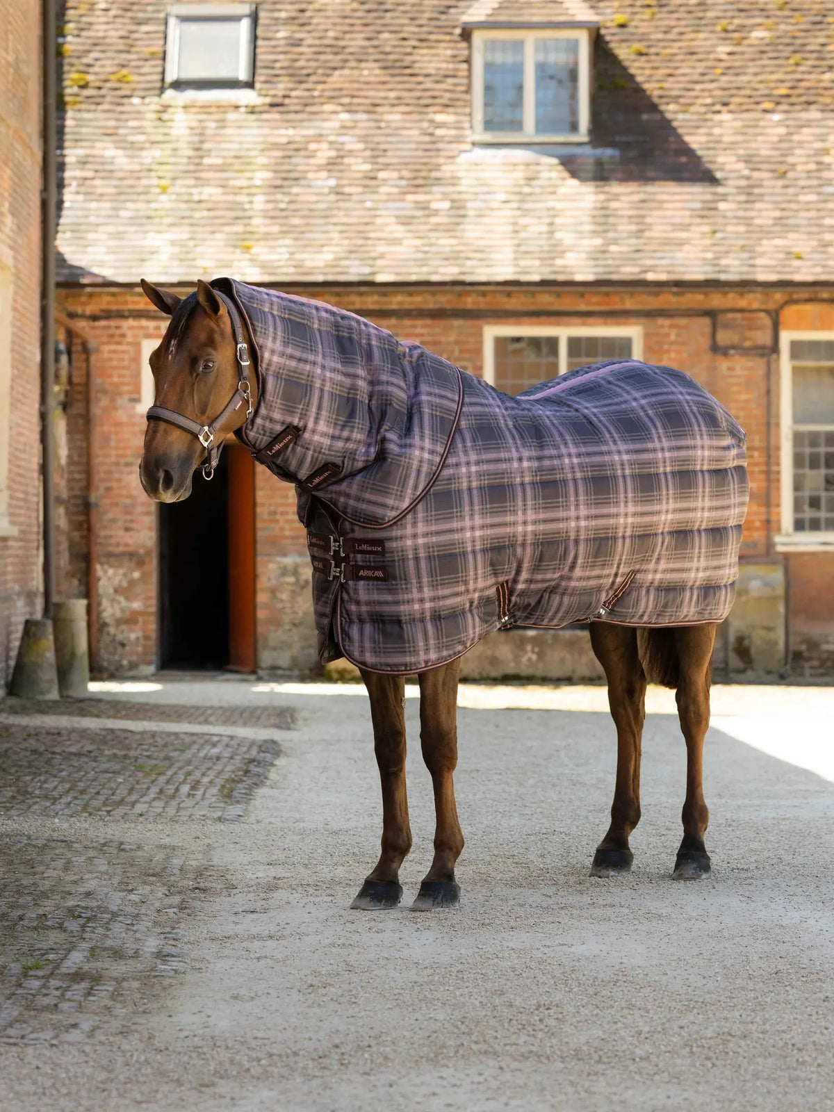 LeMieux Arika Check Stable rug with Neck 200g