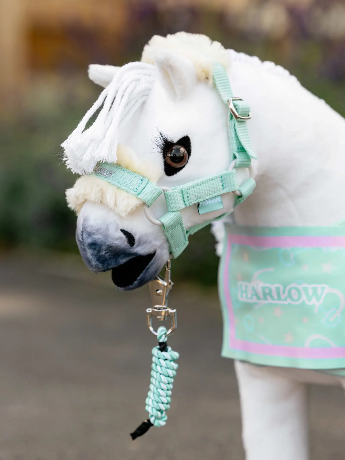 LeMieux x Harlow Toy Pony Vogue Headcollar & Leadrope