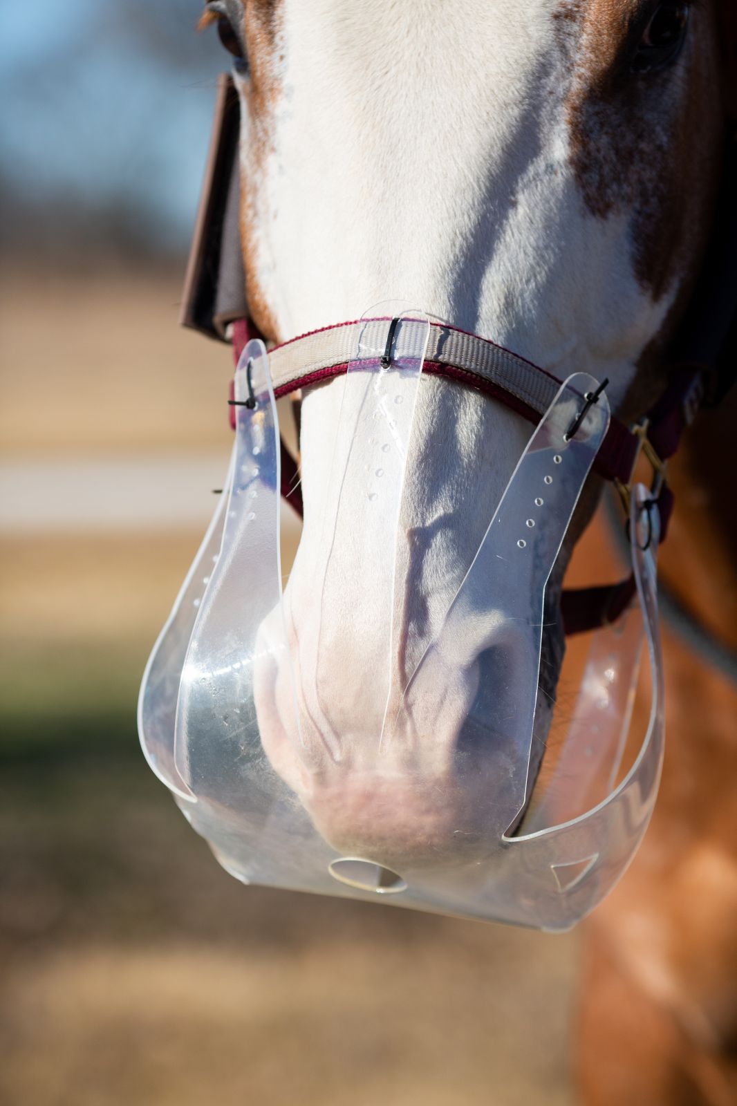 KM Elite Flexible Filly Thinline Grazing Muzzle - Country Ways