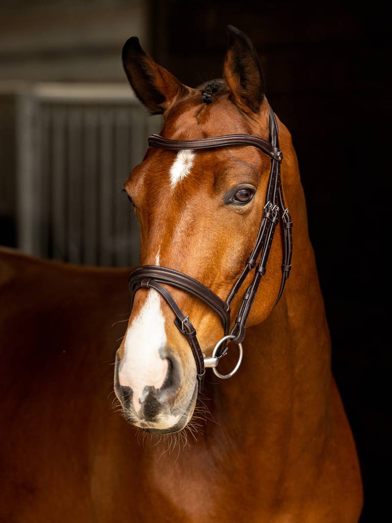LeMieux Arika Flash Bridle - Country Ways