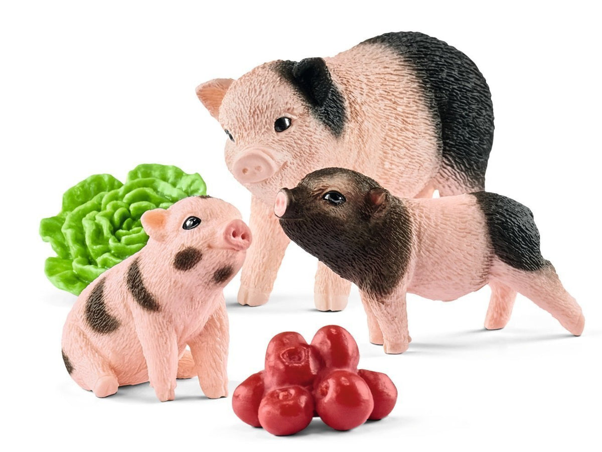 Miniature pig mother and piglets - Country Ways