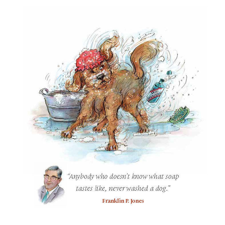 No Dogs On The Bed by John Holder