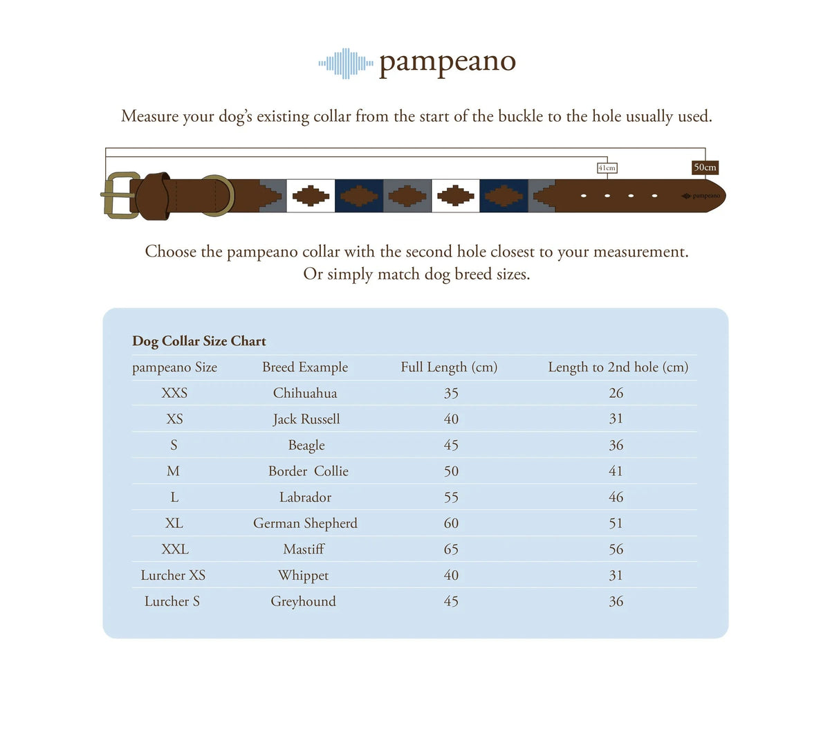 Pampeano Leather Dog Collar Hermoso - Country Ways