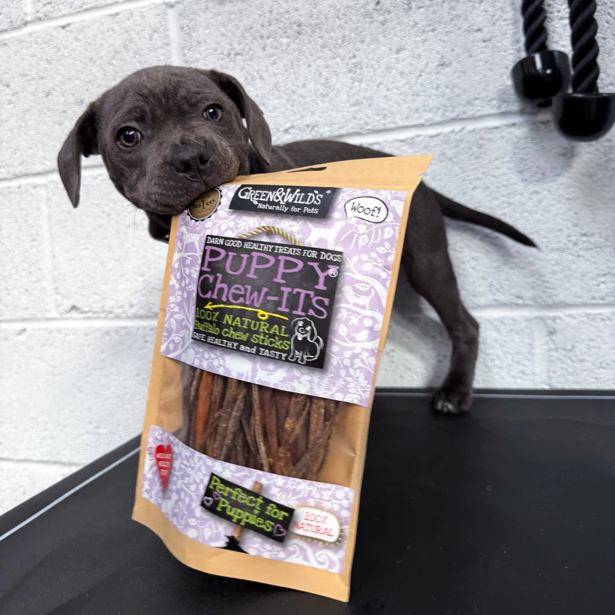 Green & Wild's Puppy Chew-Its